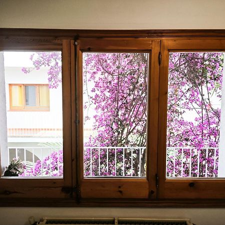 El Penell Apartament Llevant Vilamaniscle Ngoại thất bức ảnh