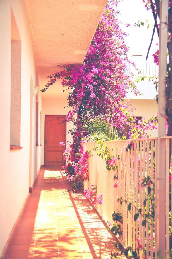 El Penell Apartament Llevant Vilamaniscle Ngoại thất bức ảnh